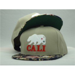 California Republic Snapback Hat ZY Snapback