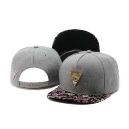 HATER Grey Snapback Hat TY 0613 Snapback