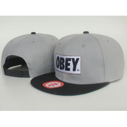 Obey Grey Snapback Hat LS Snapback