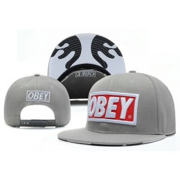 Obey Snapback Hat X-DF Grey Snapback