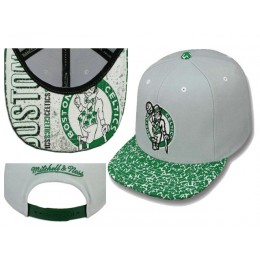 Boston Celtics Grey Snapback Hat LS Snapback