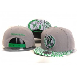 Boston Celtics Grey Snapback Hat YS Snapback