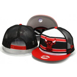 Chicago Bulls Mesh Snapback Hat YS 0528 Snapback