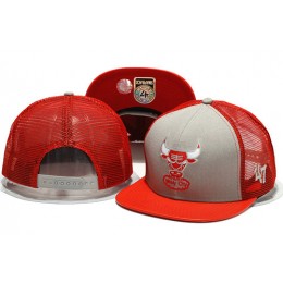 Chicago Bulls Mesh Snapback Hat YS 2 0701 Snapback