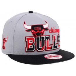 Chicago Bulls Grey Snapback Hat SD 1 Snapback