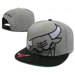Chicago Bulls Grey Snapback Hat SD Snapback
