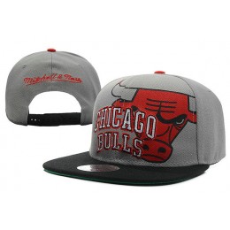 Chicago Bulls Grey Snapback Hat XDF 4 Snapback
