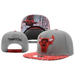 Chicago Bulls NBA Snapback Hat XDF-GREY2 Snapback