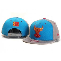 Chicago Bulls New Type Snapback Hat YS5615 Snapback