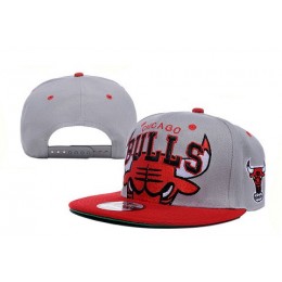 Chicago Bulls NBA Snapback Hat XDF112 Snapback