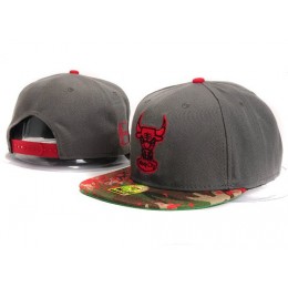 Chicago Bulls NBA Snapback Hat YS267 Snapback