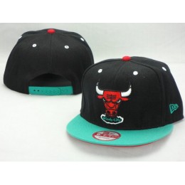 Chicago Bulls NBA Snapback Hat ZY13 Snapback