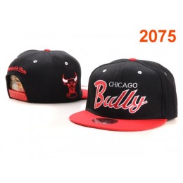 Chicago Bulls NBA Snapback Hat PT053 Snapback