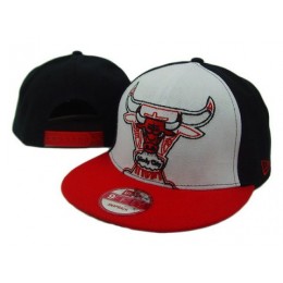 Chicago Bulls NBA Snapback Hat SD01 Snapback