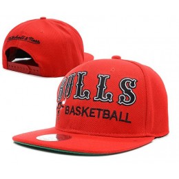 Chicago Bulls NBA Snapback Hat SD25 Snapback