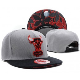Chicago Bulls NBA Snapback Hat SD31 Snapback