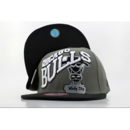 Chicago Bulls Grey Snapback Hat QH Snapback