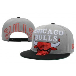 Chicago Bulls Grey Snapback Hat XDF 2 Snapback