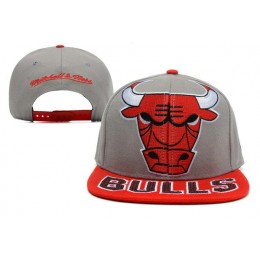 Chicago Bulls Grey Snapback Hat XDF Snapback