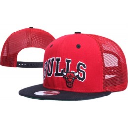 Chicago Bulls NBA Snapback Hat XDF031 Snapback