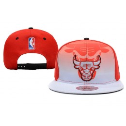 Chicago Bulls Snapback Hat XDF 21 Snapback