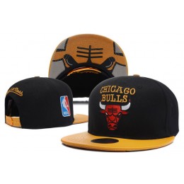 Chicago Bulls Hat DF 6 Snapback