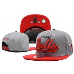 Chicago Bulls Grey Snapback Hat DF 0512 Snapback