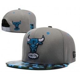Chicago Bulls Grey Snapback Hat SD1 0512 Snapback