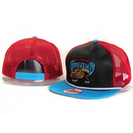 Memphis Grizzlies Mesh Snapback Hat YS Snapback